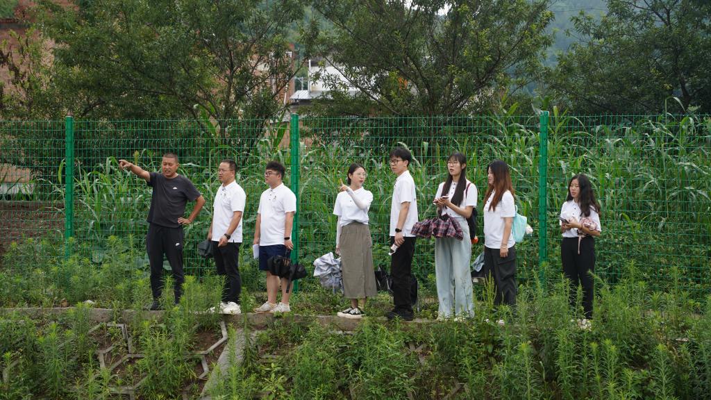 44118太阳成tyc城集团