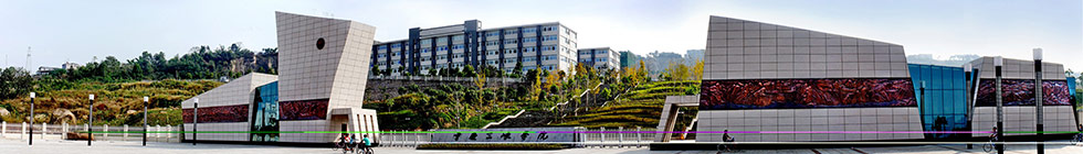 44118太阳成tyc城集团